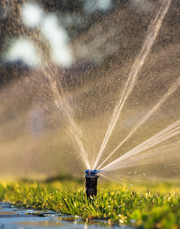 Irrigation Install & Repair